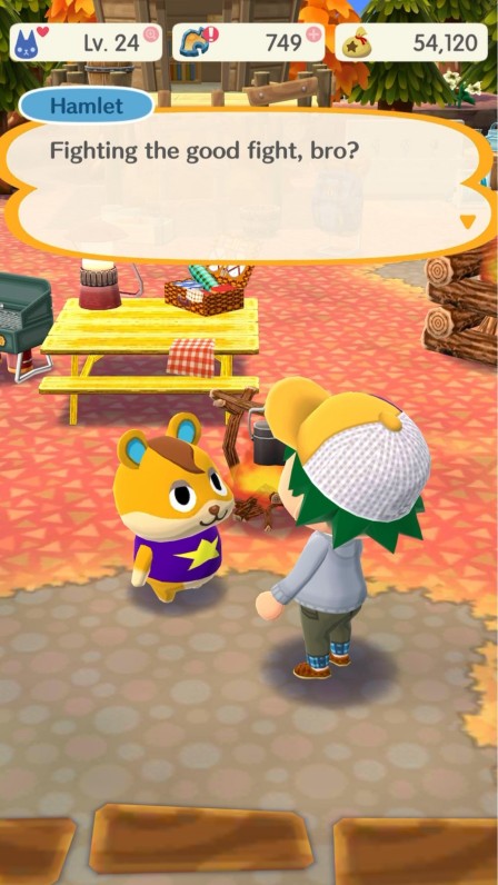 Animal Crossing: Pocket Camp C